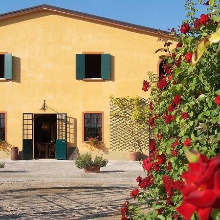 Agriturismo Le Colombaie Busseto Exteriér fotografie