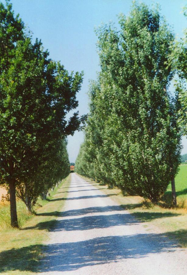 Agriturismo Le Colombaie Busseto Exteriér fotografie